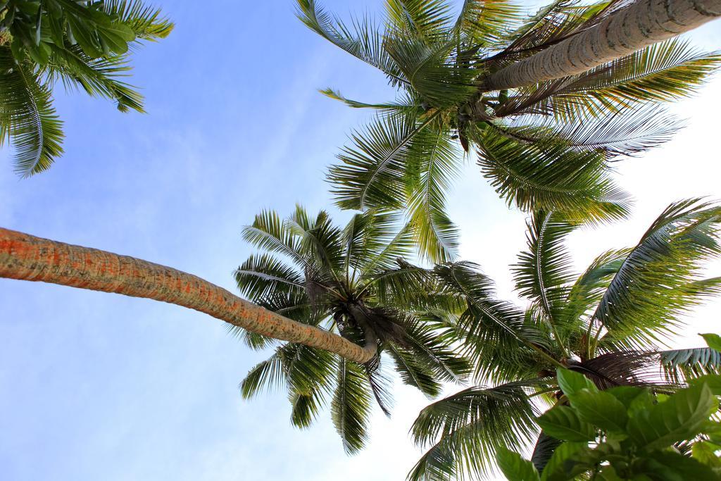 Toberua Island Resort Bagian luar foto